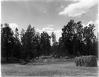 ARKEOLOGISK UNDERSÖKNING GRAVANLÄGGNING ARKEOLOGI GRAVFÄLT GRAVHÖG