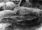 ARKEOLOGI GRAVFÄLT GRAVHÖG ARKEOLOGISK UNDERSÖKNING GRAVANLÄGGNING