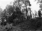 GRAVANLÄGGNING ARKEOLOGI GRAVFÄLT GRAVHÖG