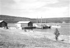 HAMN