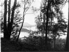 NIPA ÄLV