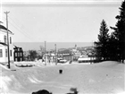 STADSVY VINTERBILD BOSTADSHUS HUND