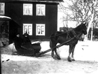 MAN KVINNA BOSTADSHUS HÄSTTRANSPORT