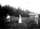 MAN SKÖRDEARBETE KVINNA