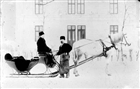 MAN VINTERBILD HÄSTSKJUTS