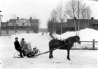 HÄST HÄSTTRANSPORT MAN BARN