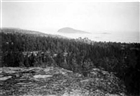 BERG FJÄRD