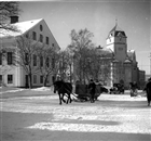 VINTERBILD HÄSTTRANSPORT RÅDHUS