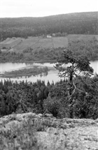 SKOG JORDBRUKSBEBYGGELSE