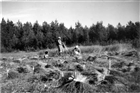 KVINNA