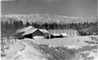 VINTERBILD JORDBRUKSBEBYGGELSE KORNHÄSSJA