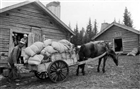 FÄBOD FÄBODPIGA HÄSTTRANSPORT