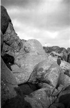 BERG