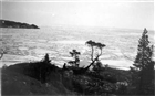 HAVSKUST