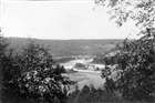 SKOG ÄLV