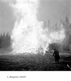 ELDSVÅDA BRANDMAN