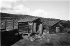 FRILUFTSMUSEUM JORDBRUKSBEBYGGELSE BONDGÅRD HÄRBRE