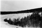 VINTERBILD ÅKERMARK LANDSBEBYGGELSE JORDBRUKSBEBYGGELSE