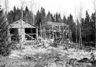 FRILUFTSMUSEUM SÅGVERK LINSKÄKT