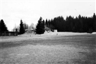 SKOG UTHUS