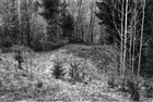 GRAVANLÄGGNING ARKEOLOGI GRAVFÄLT GRAVHÖG