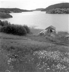 HAVSVIK