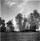 GRAVFÄLT ARKEOLOGI GRAVHÖG
