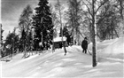 BARN KORNHÄSSJA VINTERBILD