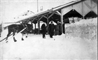 MAN HÄST SALUHALL