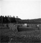 HÖHÄSSJA