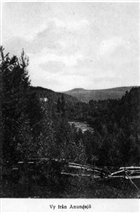 BARRSKOG BERG