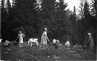 FÄBODPIGA