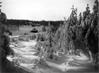 VINTERBILD SKOG JORDBRUKSBEBYGGELSE