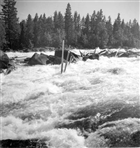 ÄLV FLOTTNING