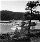 HAV HÖGA KUSTEN