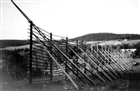 KORNHÄSSJA