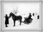 MÄNNISKOR HÄST HÄSTSKJUTS VINTERBILD