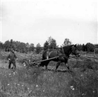 HÄST SKÖRDEARBETE SLÅTTERVALL