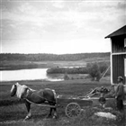 HÄSTKÄRRA