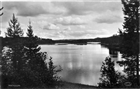 SJÖ SKOG