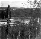 SKOG TIMMER ÄLV