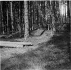 ARKEOLOGI GRAVFÄLT GRAVHÖG GRAVANLÄGGNING