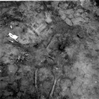 ARKEOLOGI GRAVFÄLT GRAVHÖG ARKEOLOGISK UNDERSÖKNING SKELETT GRAVANLÄGGNING