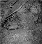 ARKEOLOGISK UNDERSÖKNING ARKEOLOGI GRAVFÄLT GRAVHÖG GRAVANLÄGGNING SKELETT