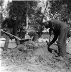 ARKEOLOGI GRAVFÄLT GRAVHÖG MAN ARKEOLOGISK UNDERSÖKNING