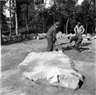 ARKEOLOGI GRAVFÄLT GRAVHÖG ARKEOLOGISK UNDERSÖKNING