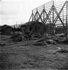 FRILUFTSMUSEUM JORDBRUKSBEBYGGELSE BONDGÅRD LOGE KORNHÄSSJA