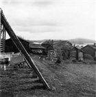 FRILUFTSMUSEUM JORDBRUKSBEBYGGELSE BONDGÅRD KORNHÄSSJA