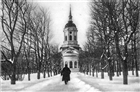 DOMKYRKA PARK VINTERBILD MAN