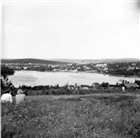 STADSVY